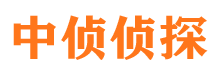 宁明侦探公司